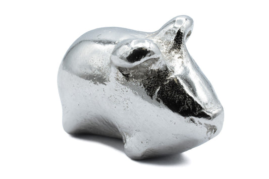 Guinea Pig Figures | We Made a Family Extra Sculpture Figurines